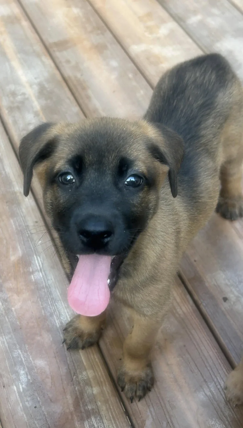 Buster thumbnail 3
