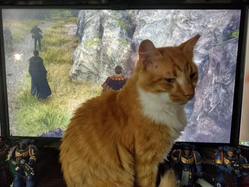 Firepaw thumbnail 4
