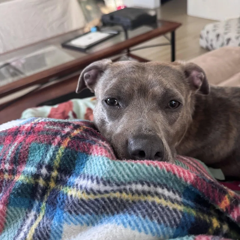 Mahina thumbnail 2