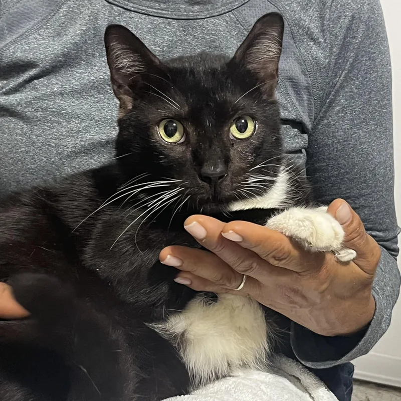 Tom And Mima thumbnail 2