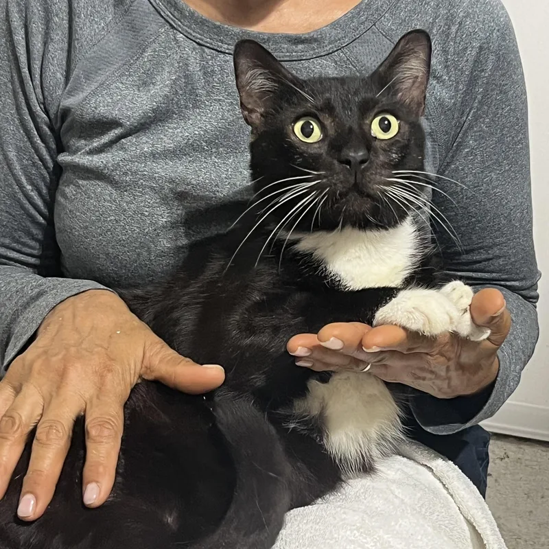 Tom And Mima thumbnail 3