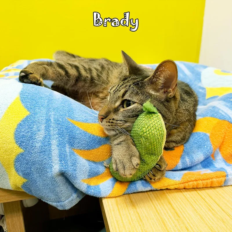 Brady @ Pet Supplies