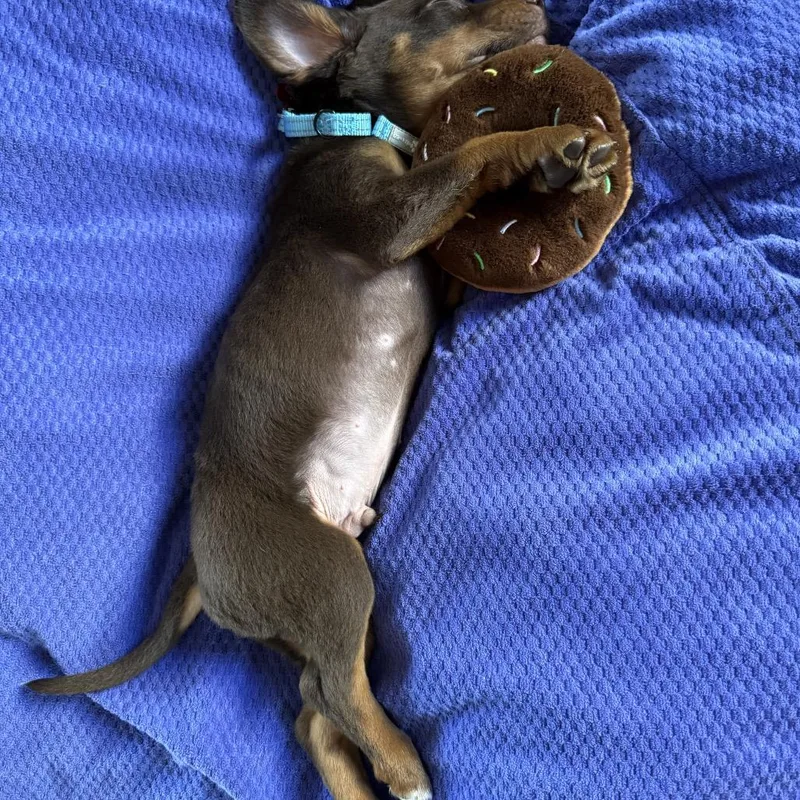 Fergus
