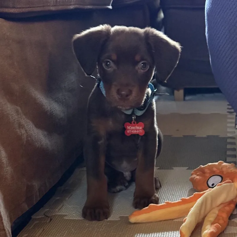 Fergus thumbnail 3