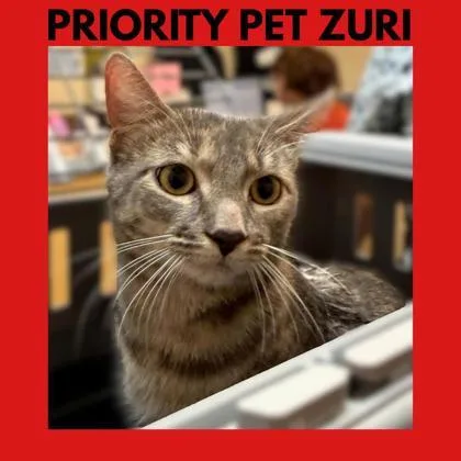 Zuri `a Priority Pet`