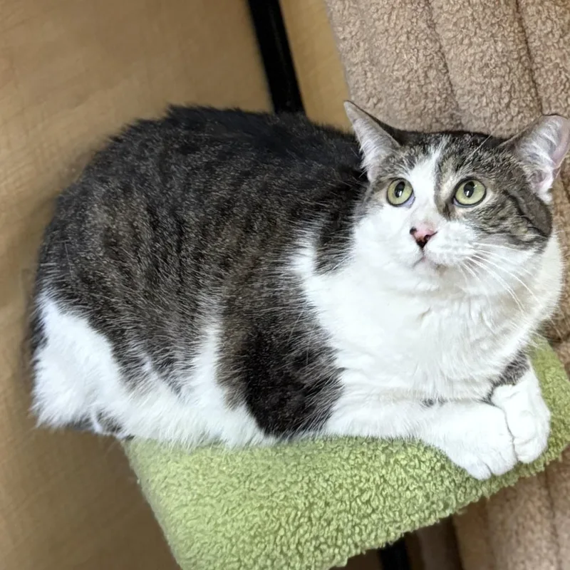 Mini And Jimmy thumbnail 2