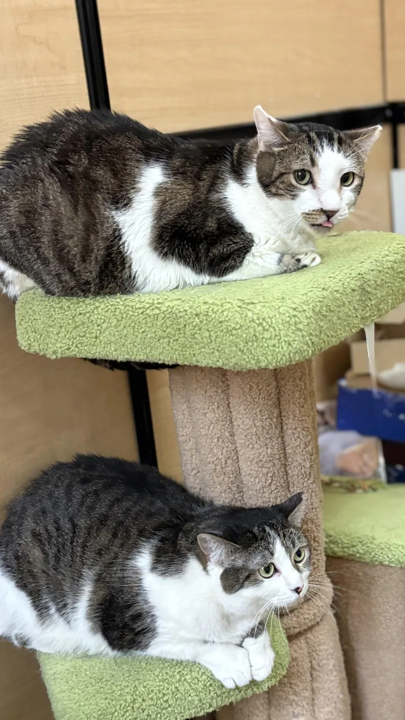 Mini And Jimmy thumbnail 3