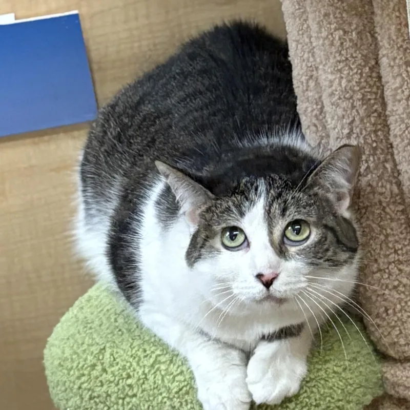 Mini And Jimmy thumbnail 4