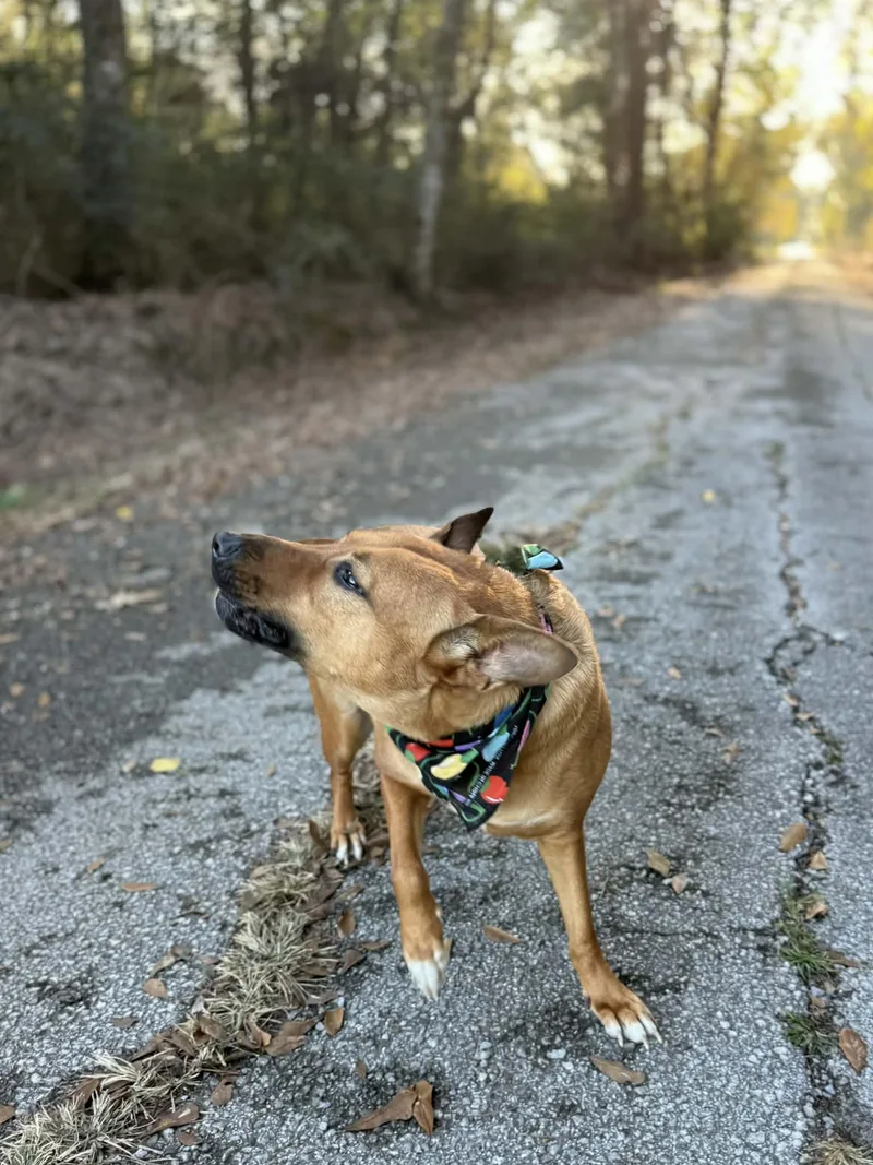 Riley Roo thumbnail 3