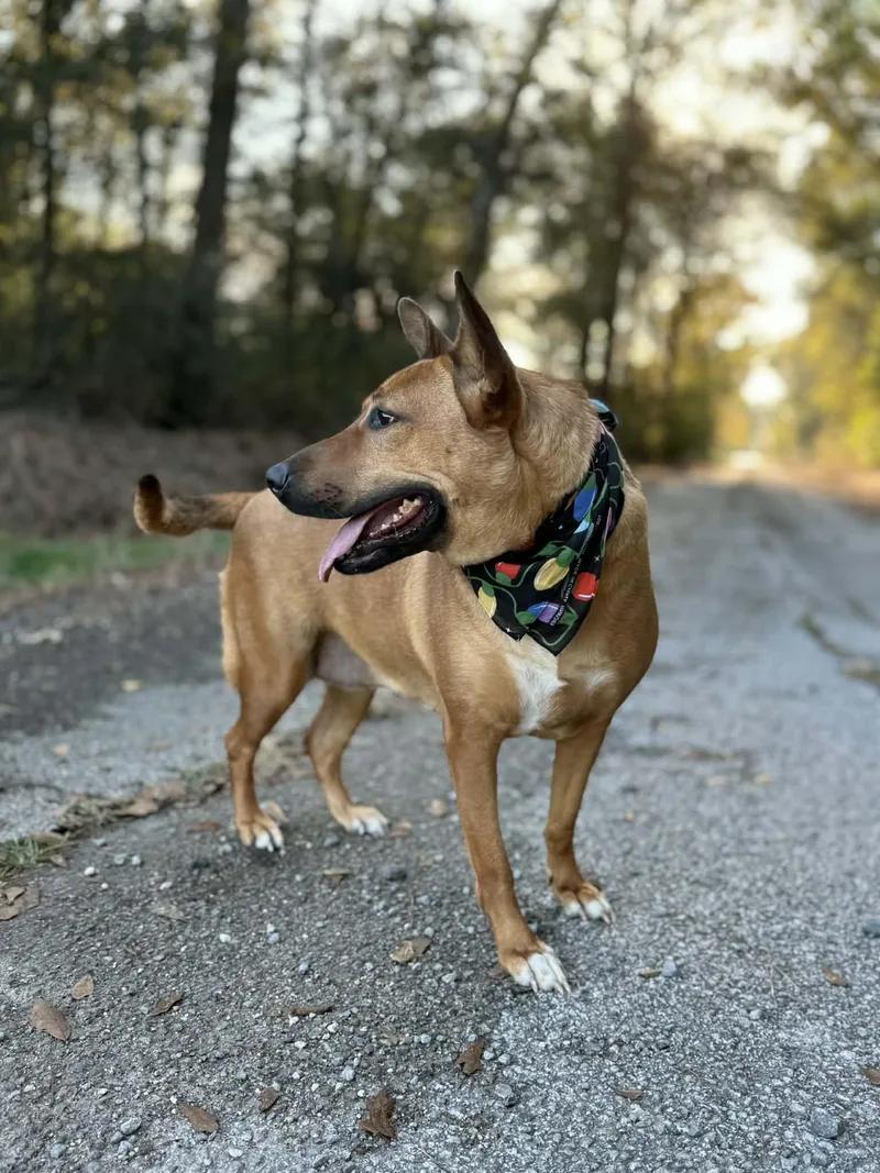 Riley Roo thumbnail 4