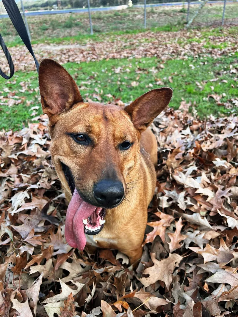 Riley Roo thumbnail 5