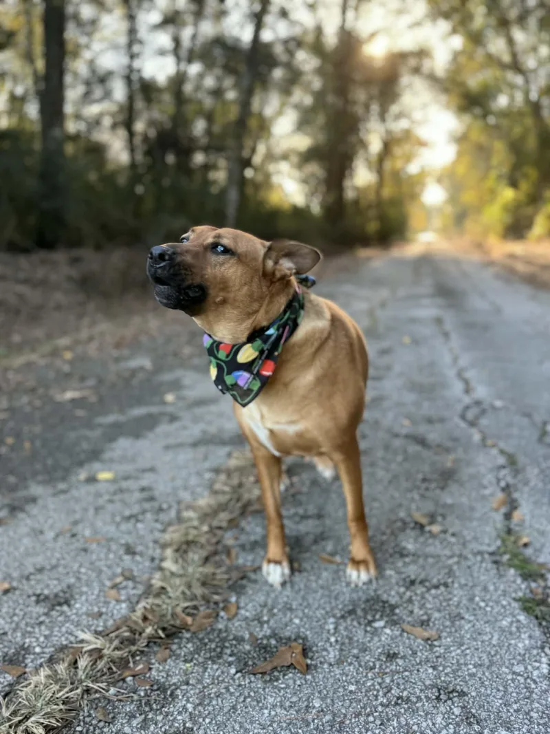 Riley Roo thumbnail 6