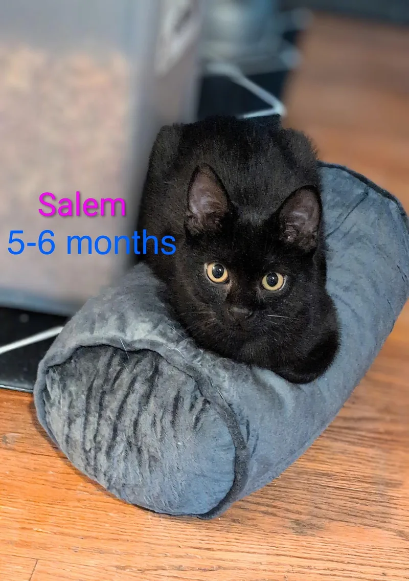 Salem
