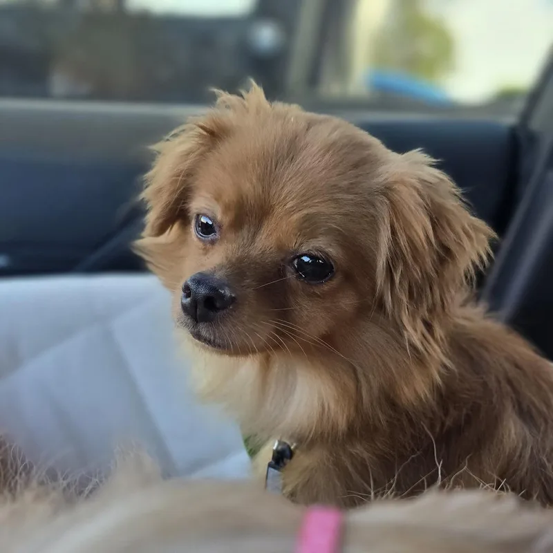 Mimi D thumbnail 3