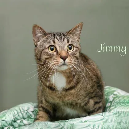 Jimmy