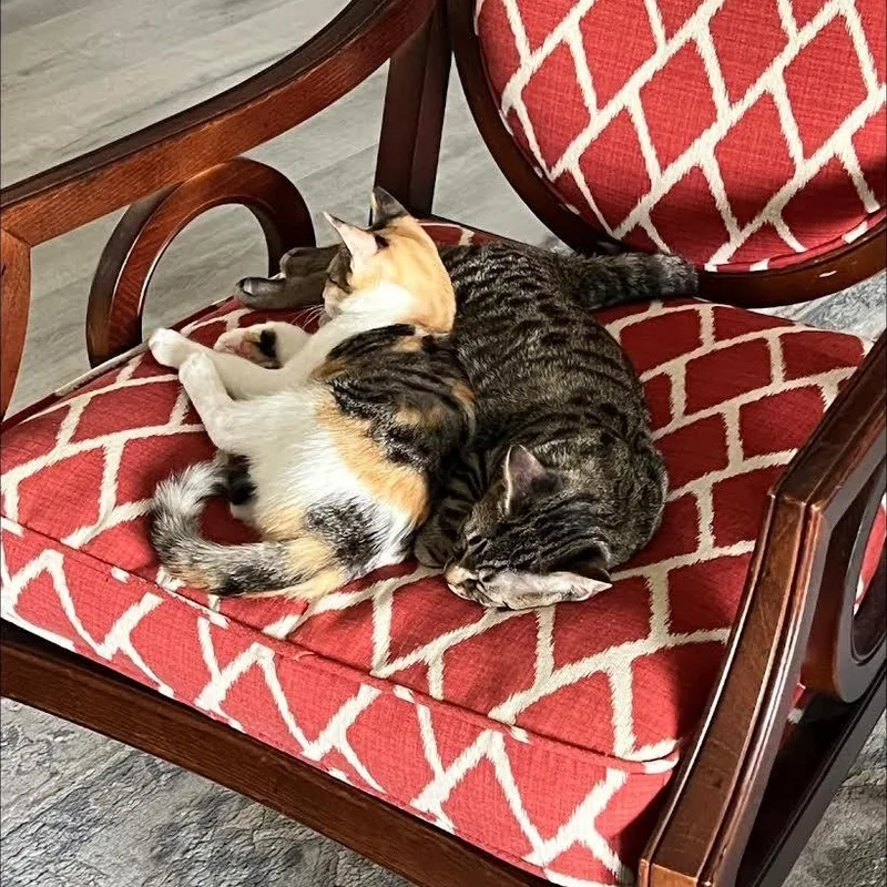 Margot And Babe thumbnail 2