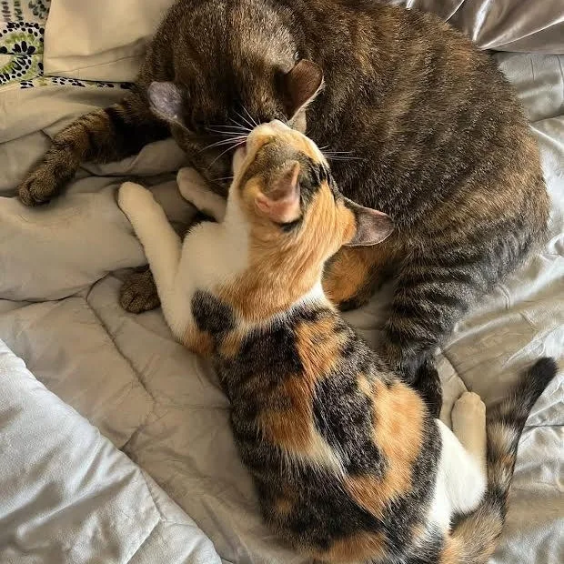 Margot And Babe thumbnail 3