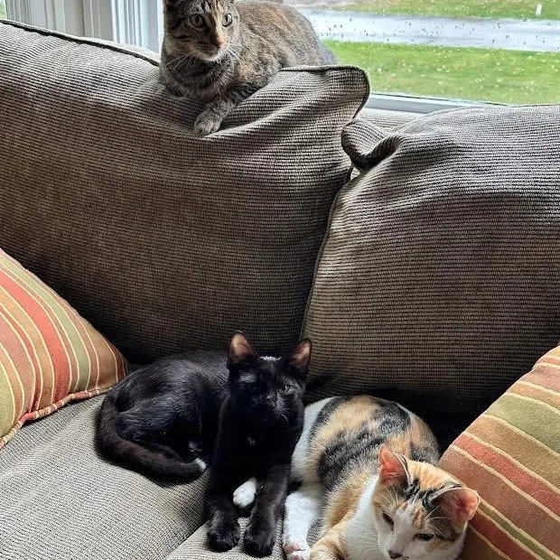 Margot And Babe thumbnail 4