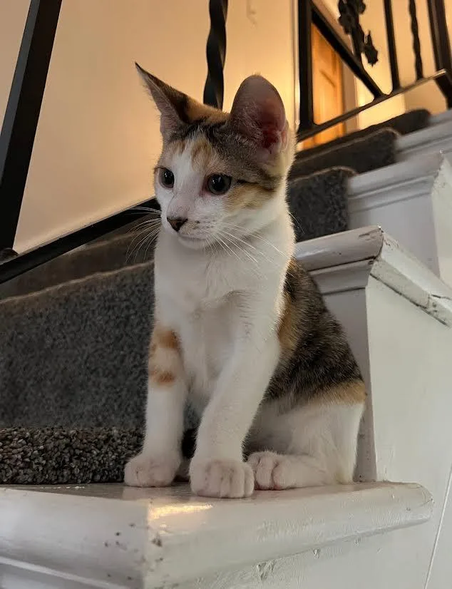 Margot And Babe thumbnail 5