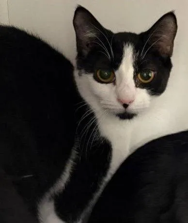 Wisconsin thumbnail 2