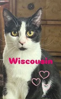 Wisconsin thumbnail 3