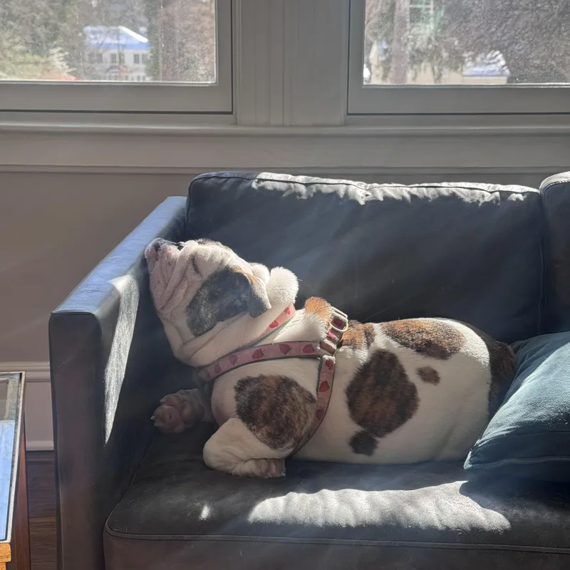 Matilda