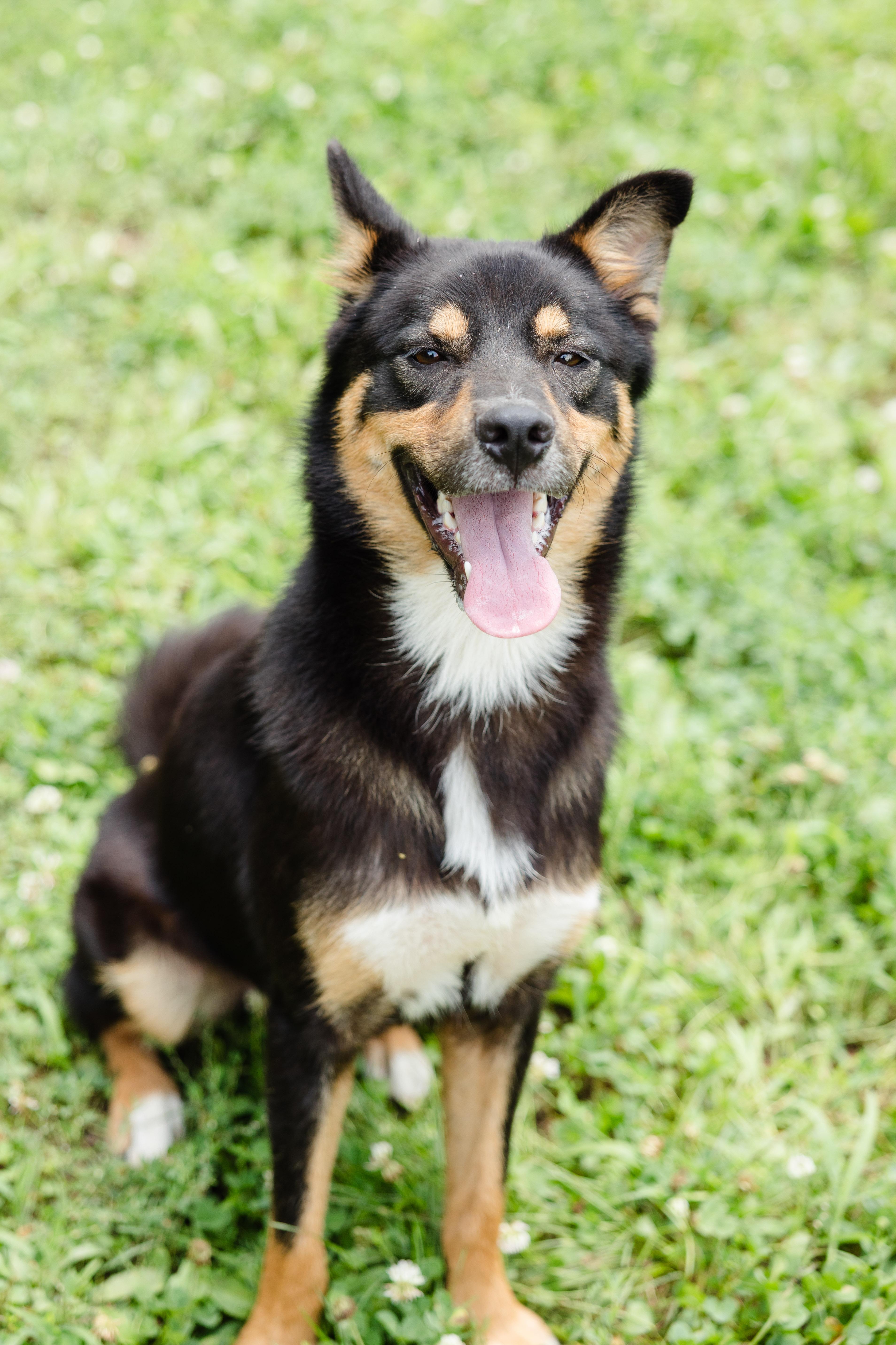 Morgan thumbnail 6