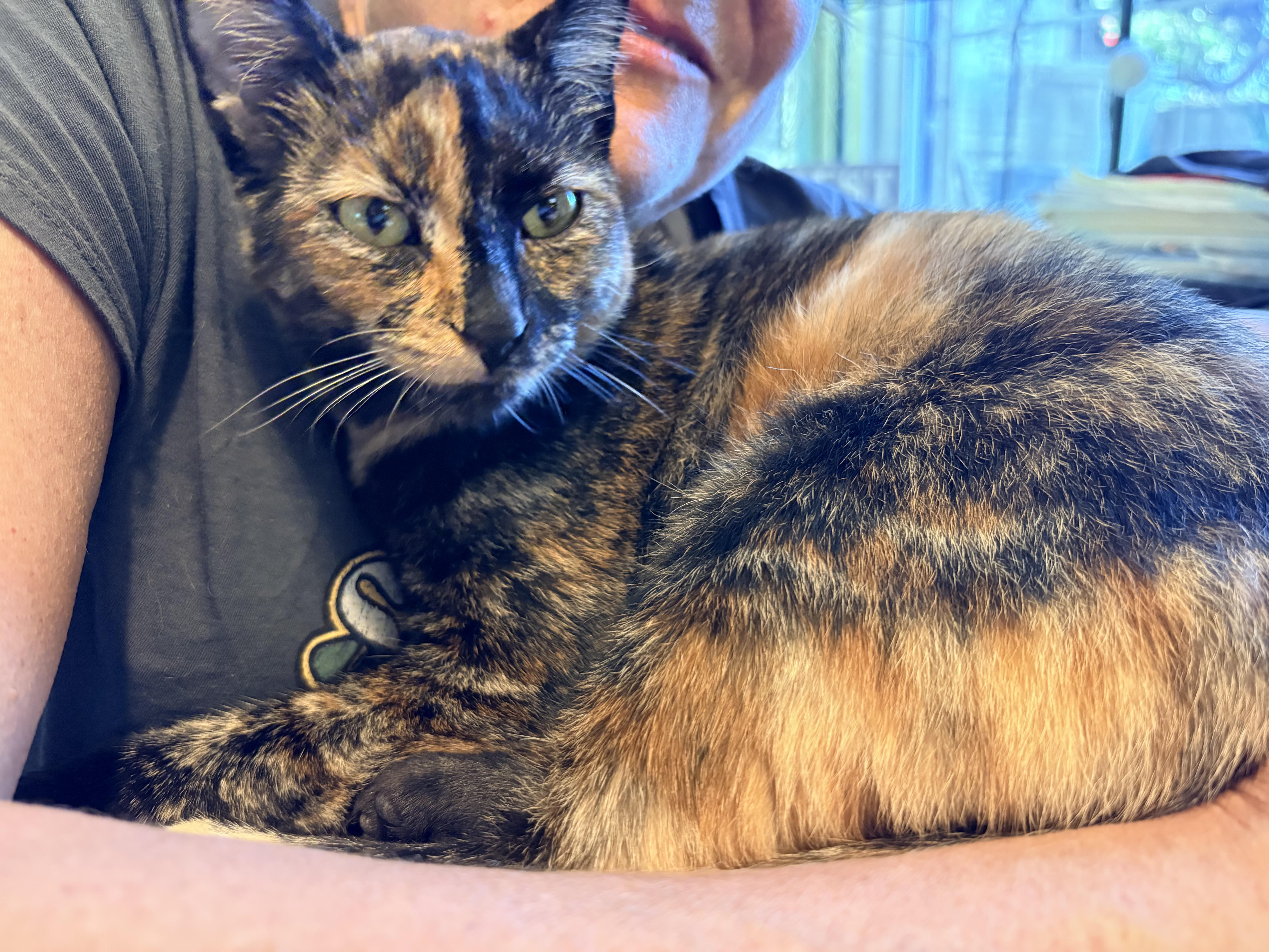 Rosie thumbnail 2