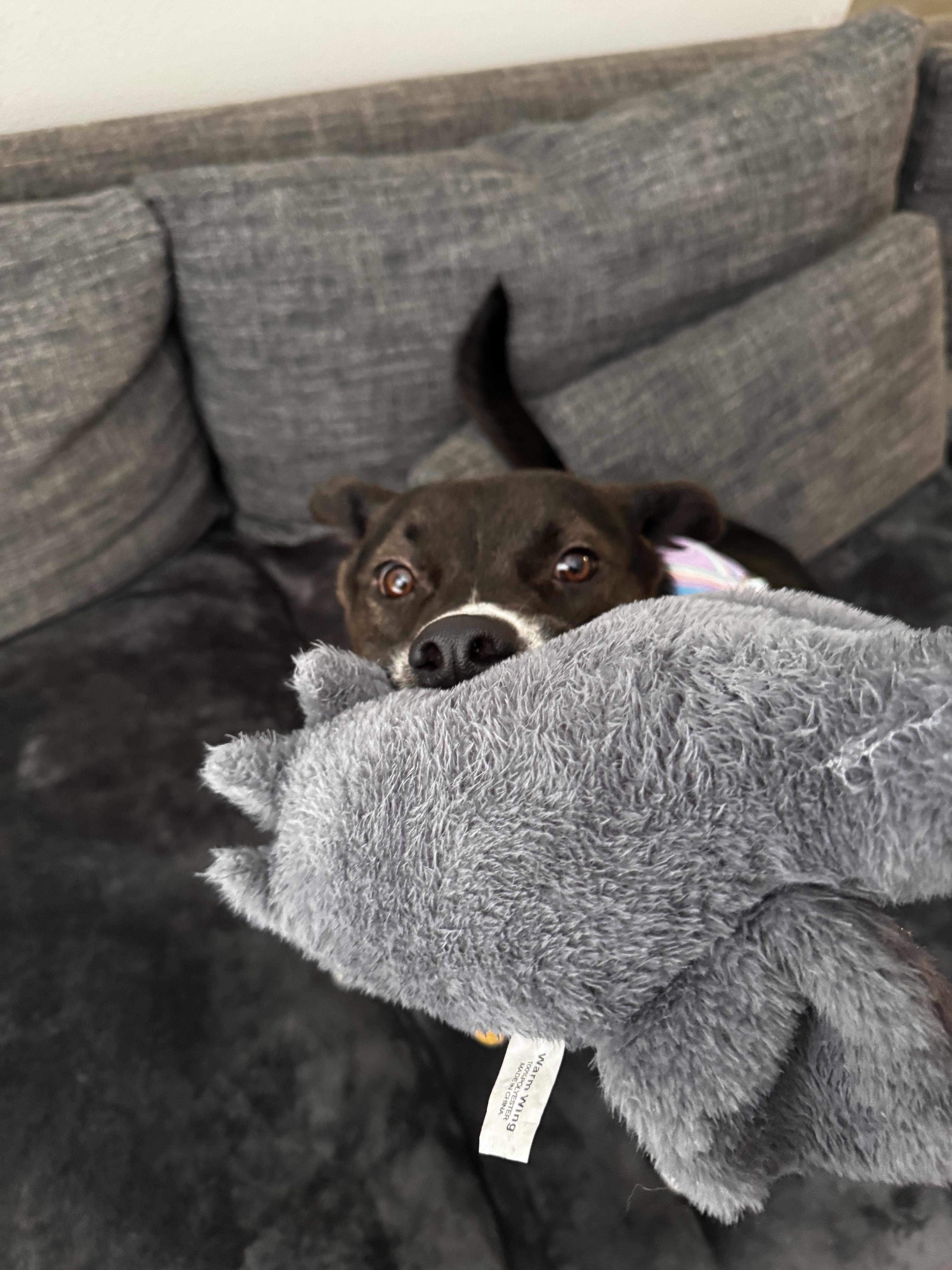 Florence thumbnail 3