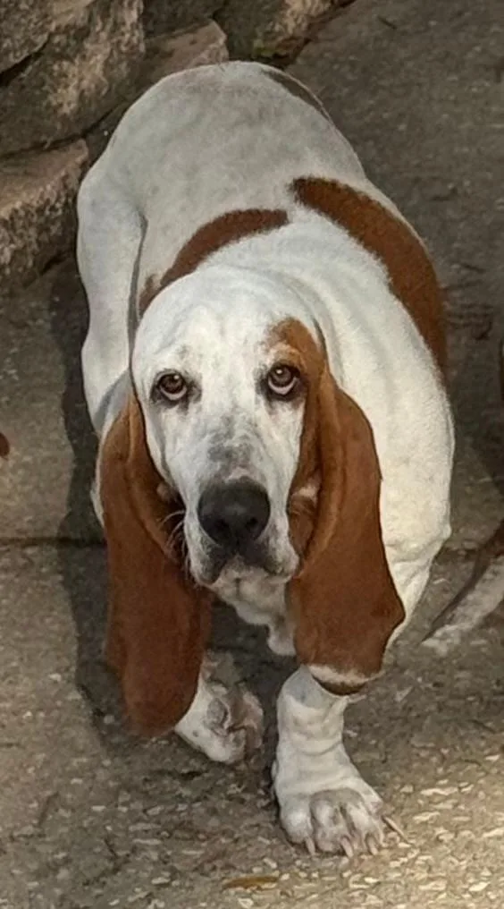 Nella