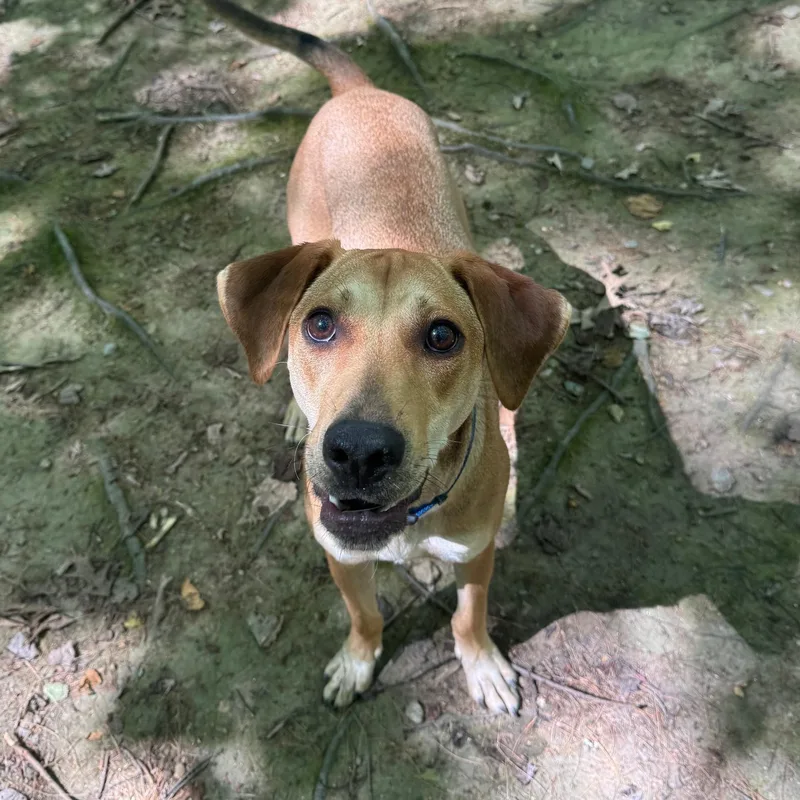 Roo  Located In thumbnail 2