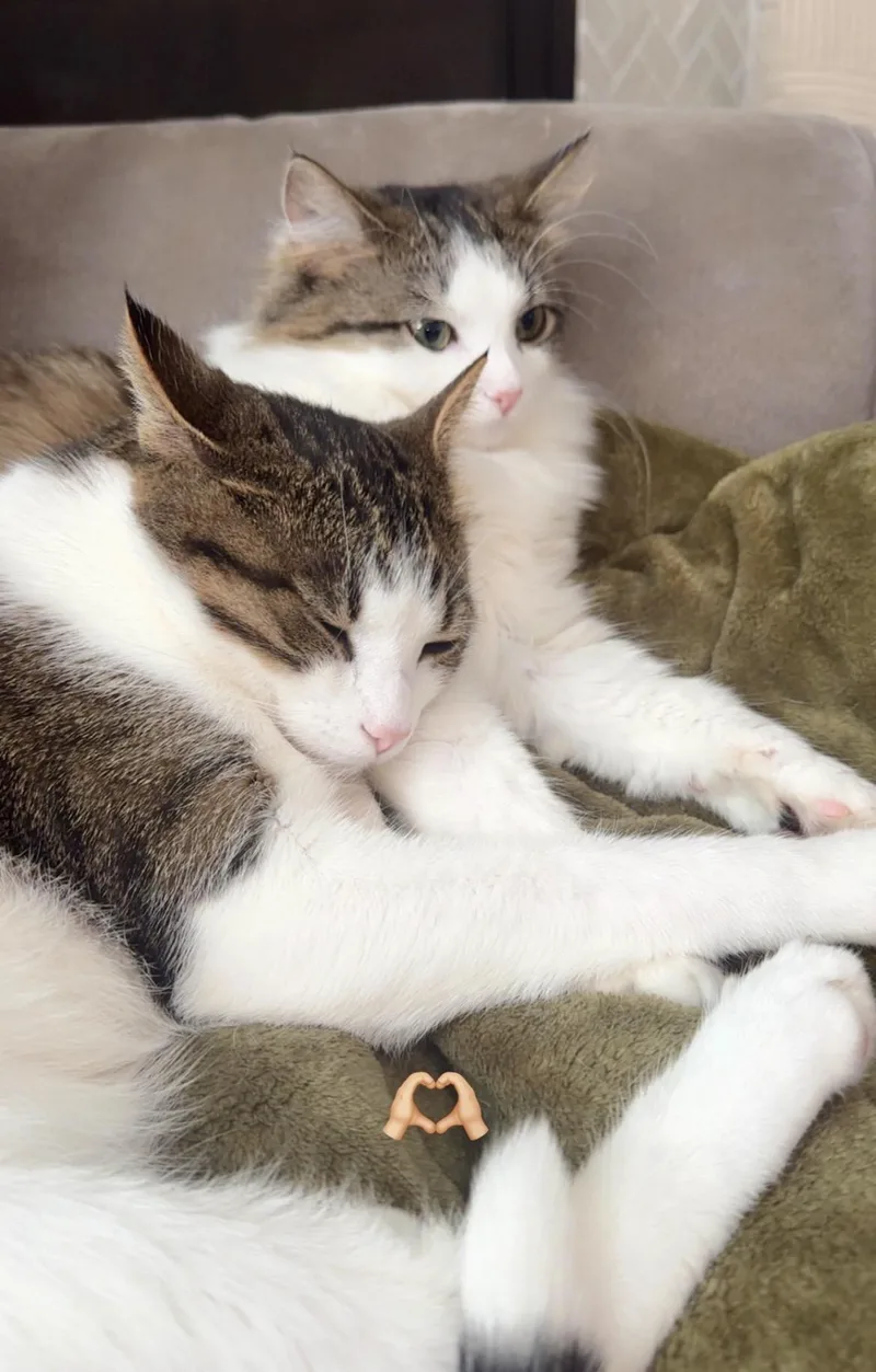 GumBeaux & Millie thumbnail 4