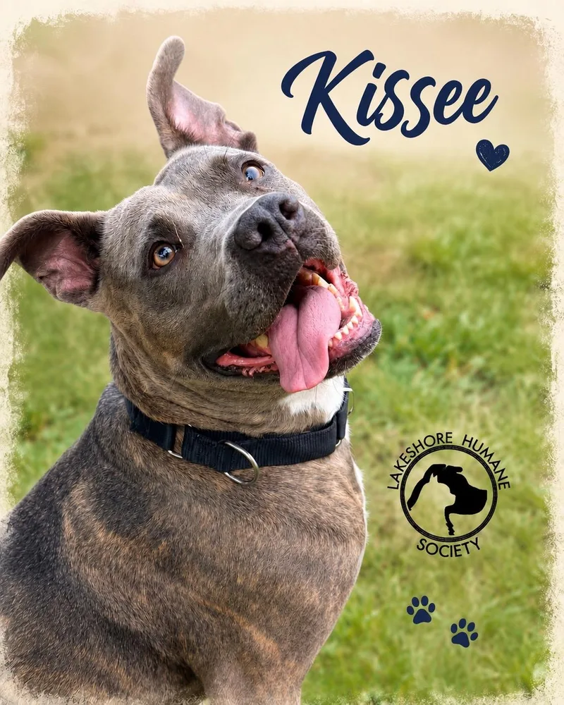 Kissee