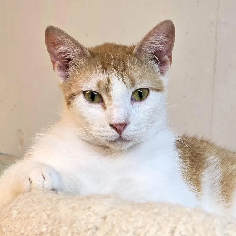 Robbie Turner thumbnail 2