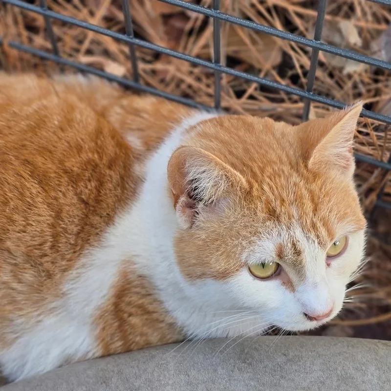 Robbie Turner thumbnail 4