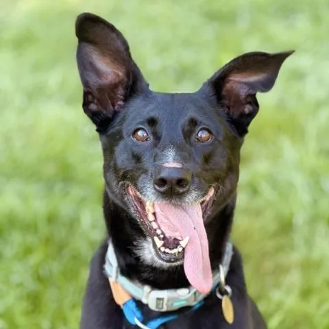 Benny