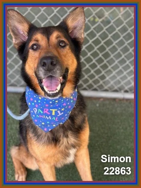 Simon thumbnail 2