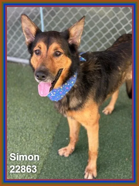 Simon thumbnail 3