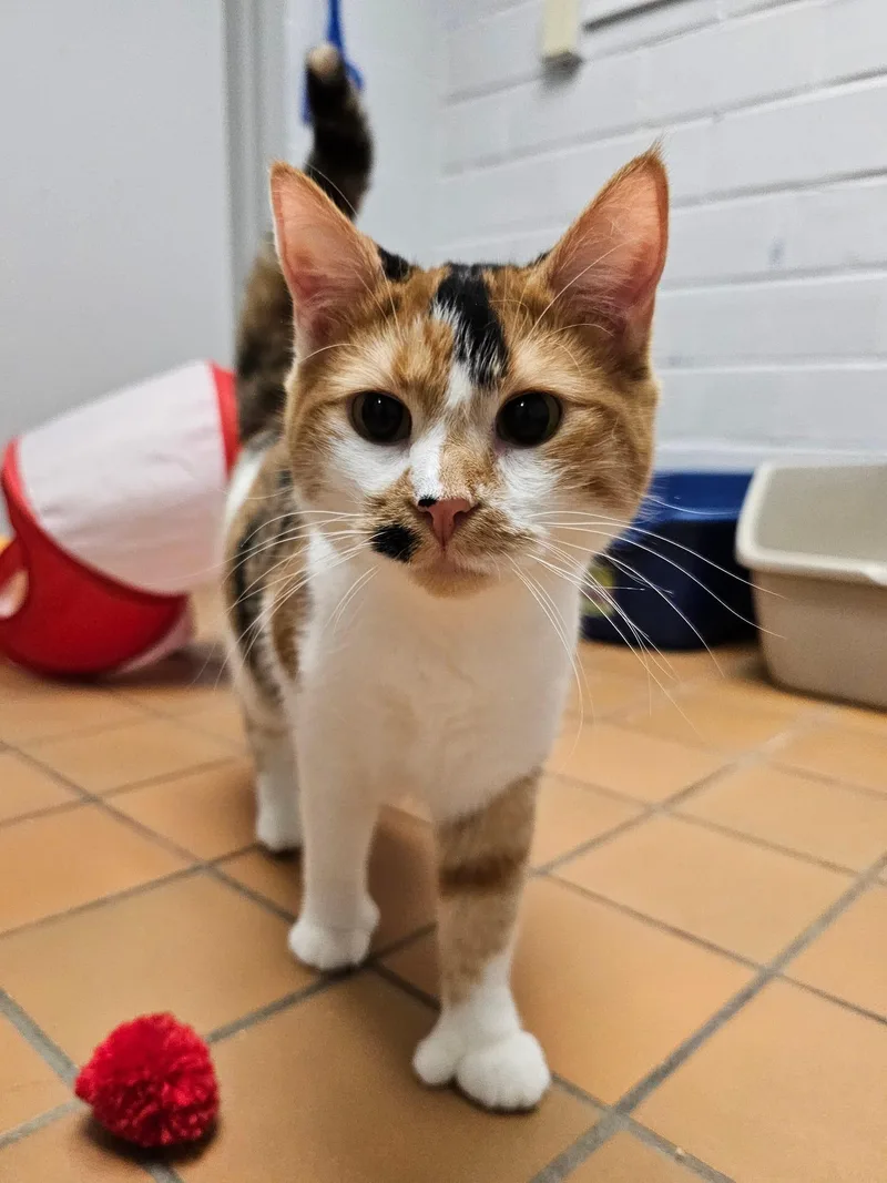 Penny & Marge thumbnail 2