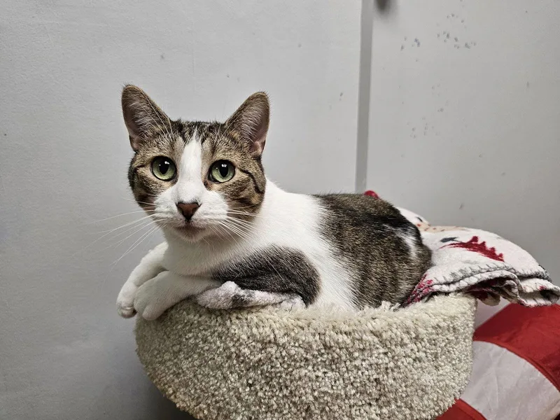 Penny & Marge thumbnail 3