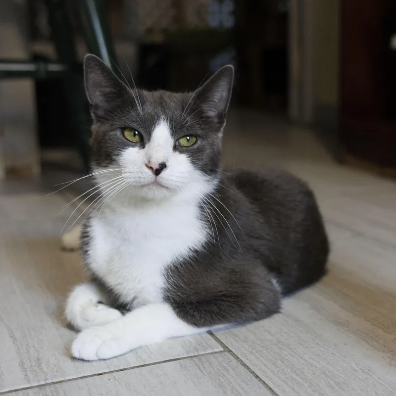 Gracie thumbnail 2