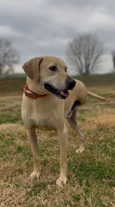 Lenny Luhrs thumbnail 5