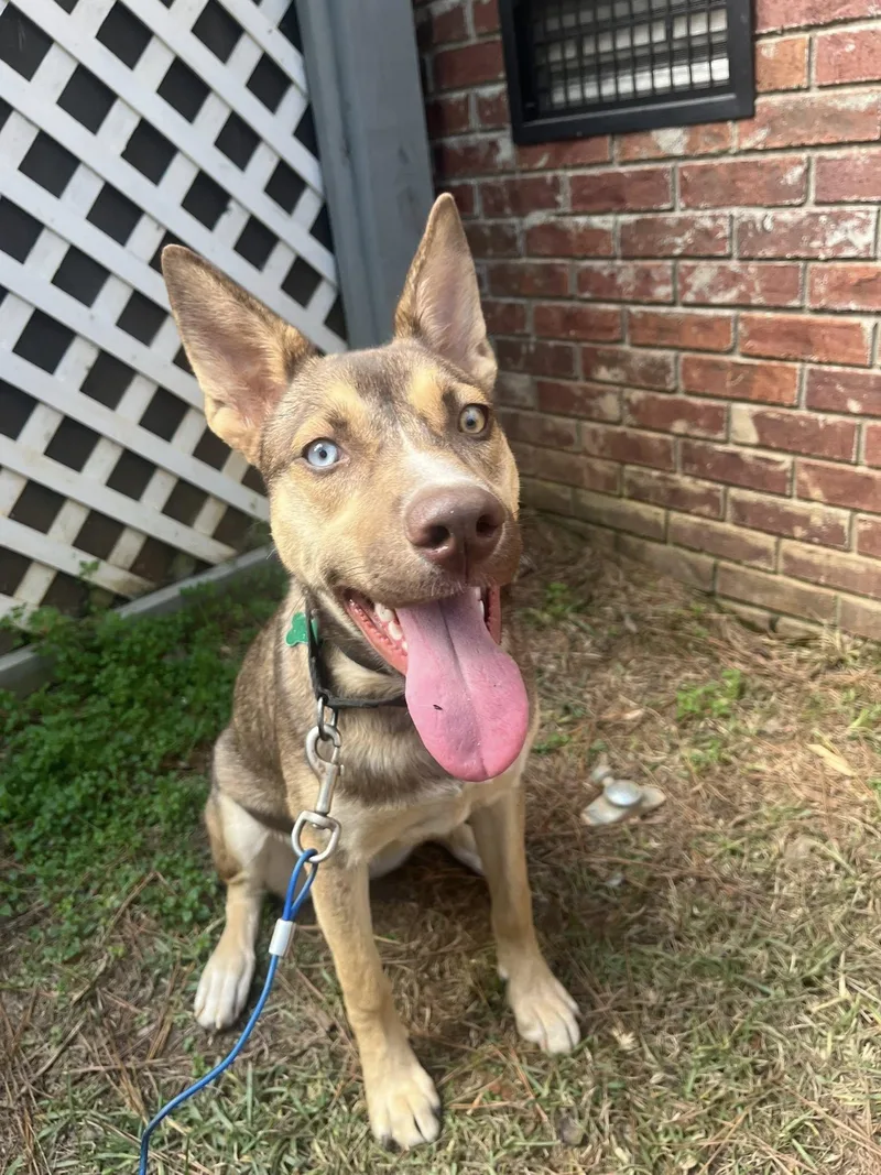 Judy Gemstone thumbnail 2