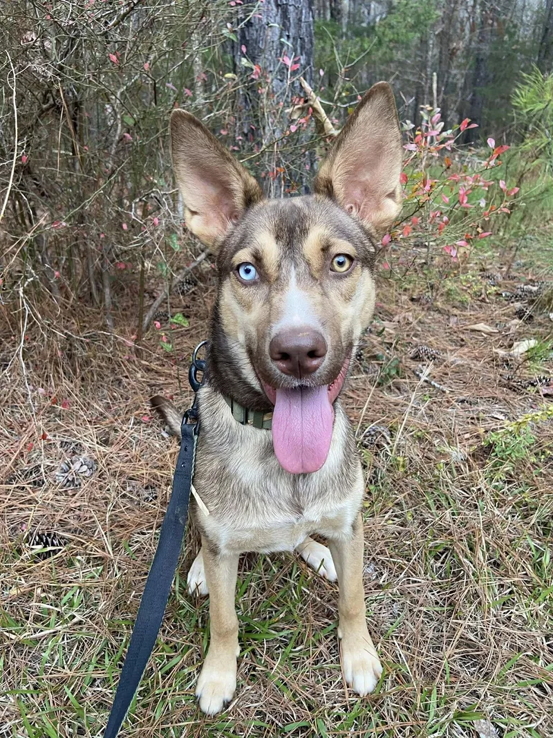 Judy Gemstone thumbnail 3