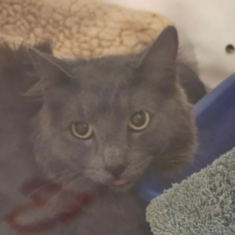 Scary Spice thumbnail 4