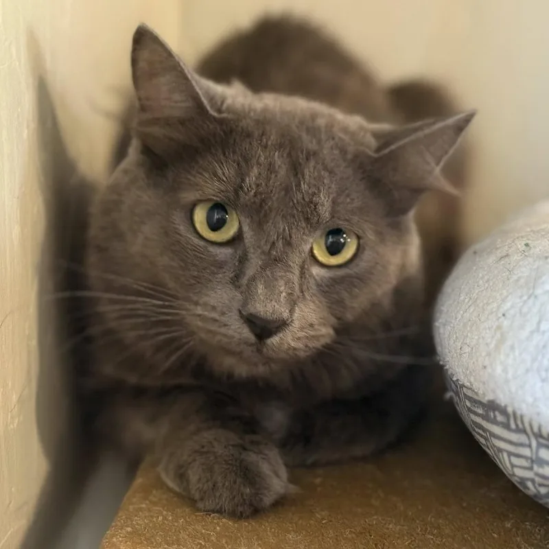 Scary Spice thumbnail 5