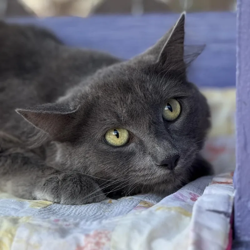 Scary Spice thumbnail 6