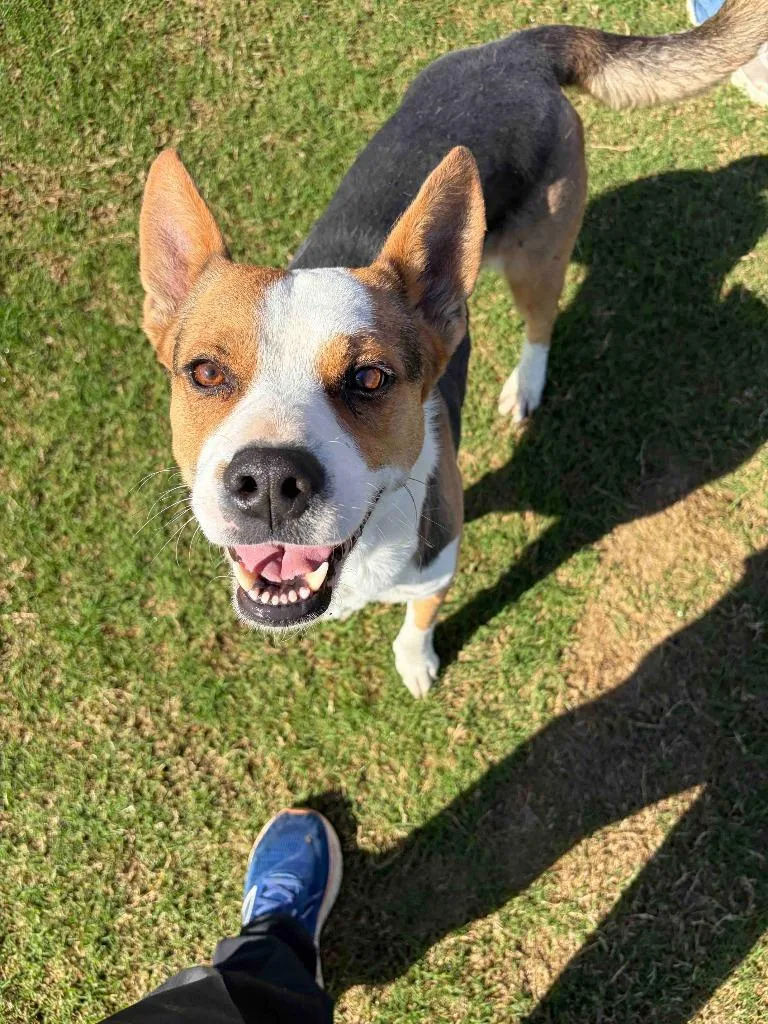 Emmy thumbnail 3