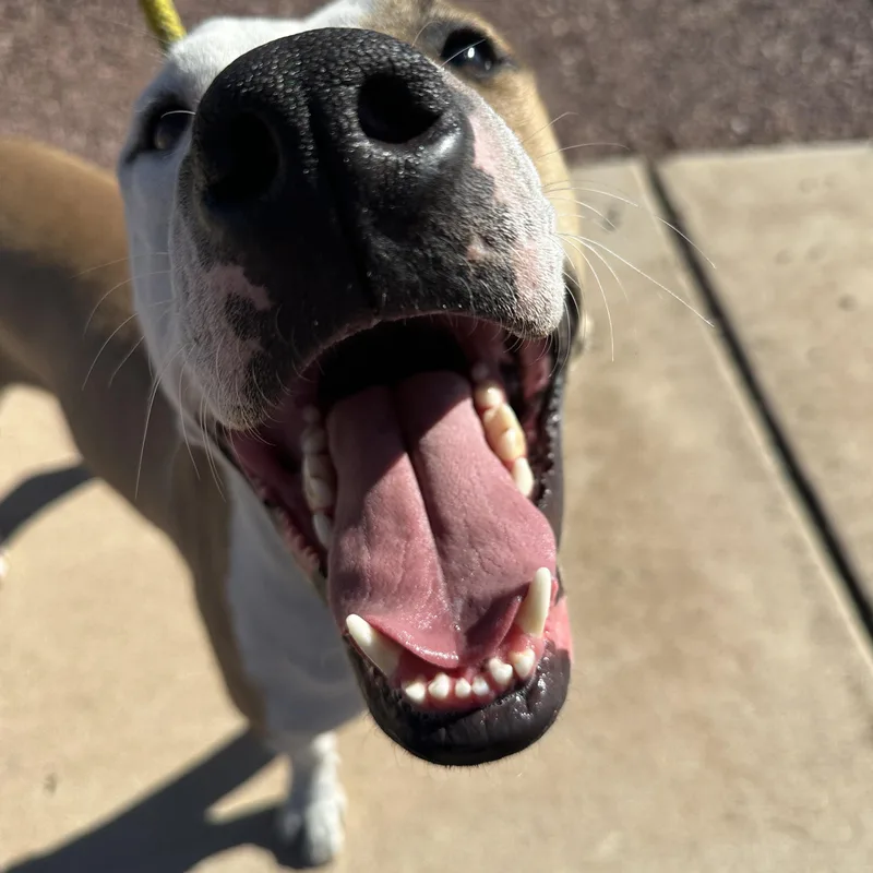 Peter Parker thumbnail 2