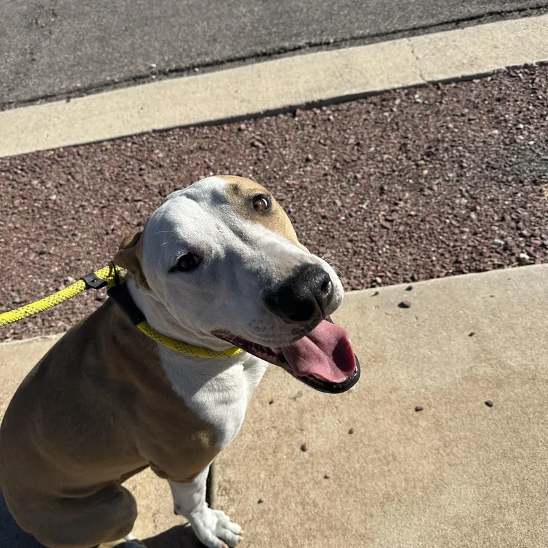 Peter Parker thumbnail 3